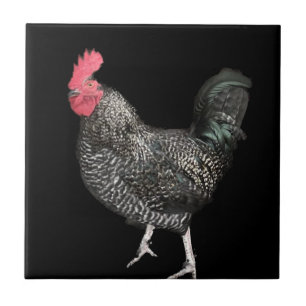 Azulejo De Cerâmica Cockerel preto n.o 4