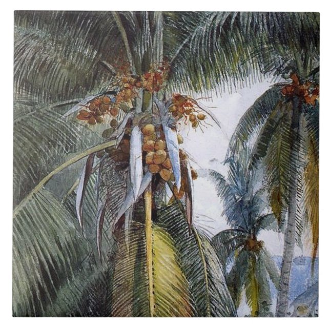 Azulejo De Cerâmica Coconut Palms, Key West, Flórida, (Frente)