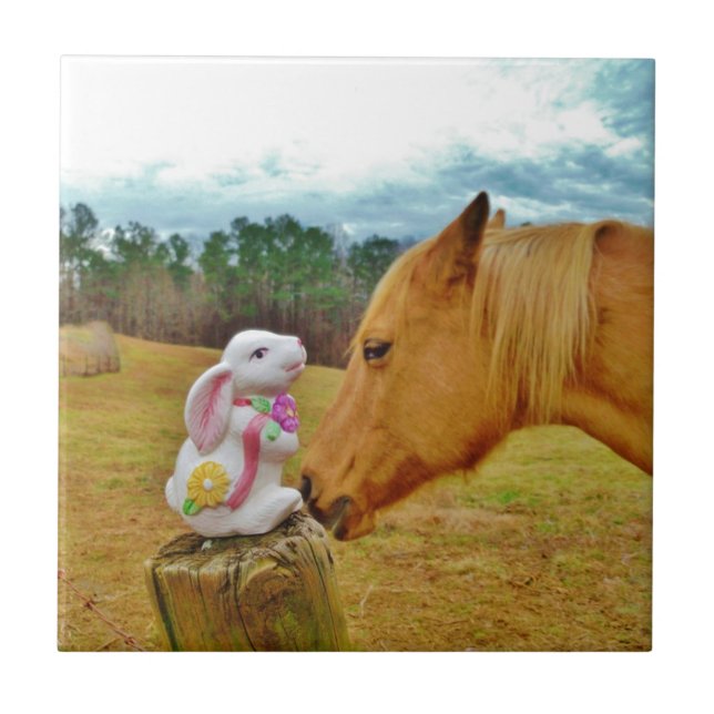 Azulejo De Cerâmica Coelho branco e cavalo amarelo (Frente)
