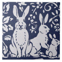 Azulejo De Cerâmica Coelho Cinza Azul Granite Pedra Pedra Arte Animal