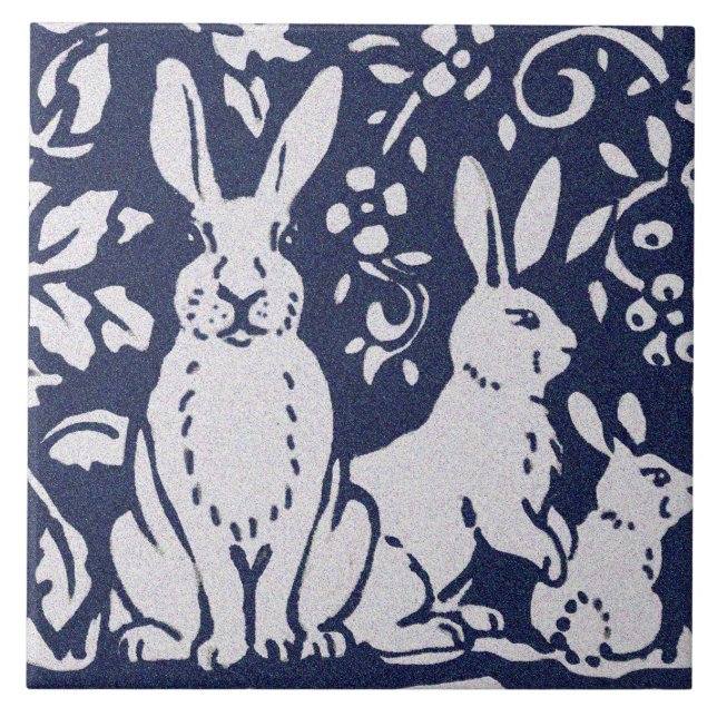 Azulejo De Cerâmica Coelho Cinza Azul Granite Pedra Pedra Arte Animal (Frente)