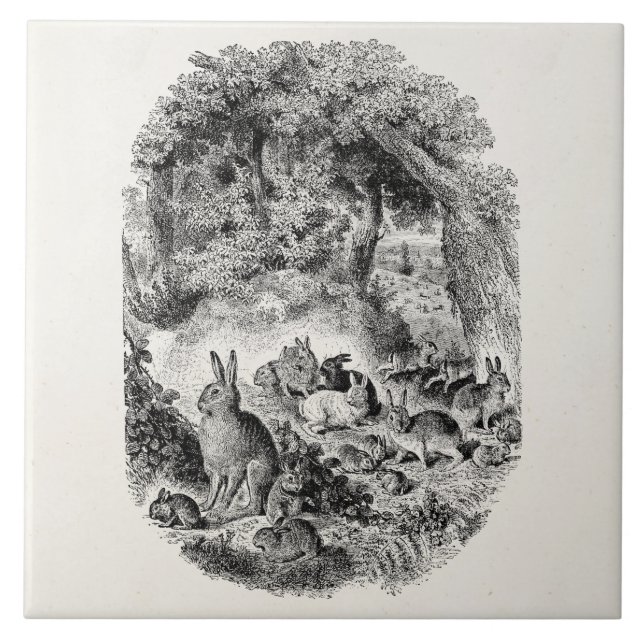 Azulejo De Cerâmica Coelho de coelhos dos 1800s dos coelhos de coelho (Frente)