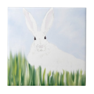 AZULEJO DE CERÂMICA  COELHO EM THE FIELD