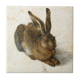 Azulejo De Cerâmica Coelho, Lebre por Durer Vintage Nature Art de 1502
