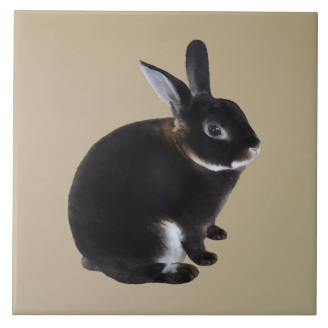 Azulejo De Cerâmica Coelho Mini Rex Escuro e Branco (Frente)