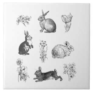 Azulejo De Cerâmica Coelhos de Páscoa de fazendas