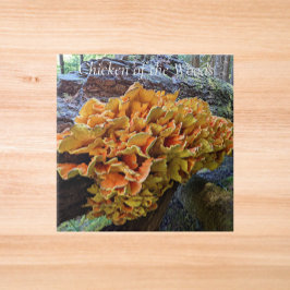 Azulejo De Cerâmica Cogumelo Galinha-da-Floresta Laranja