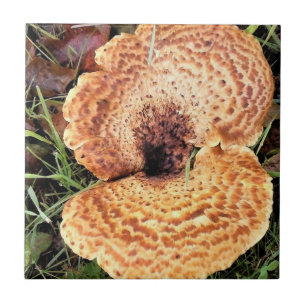Azulejo De Cerâmica Cogumelo na Floresta