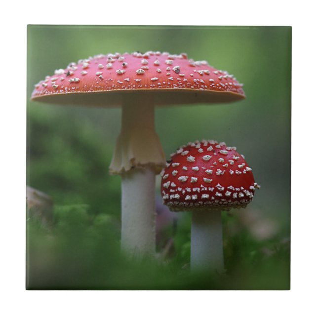 Azulejo De Cerâmica Cogumelos Mágicos (Frente)