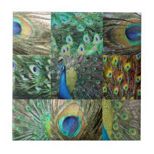 Azulejo De Cerâmica Colagem azul verde da foto do pavão