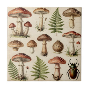 Azulejo De Cerâmica Colagem Botânico Vintage de Cogumelo Samambaia