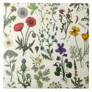 Azulejo De Cerâmica Colagem de flores silvestres