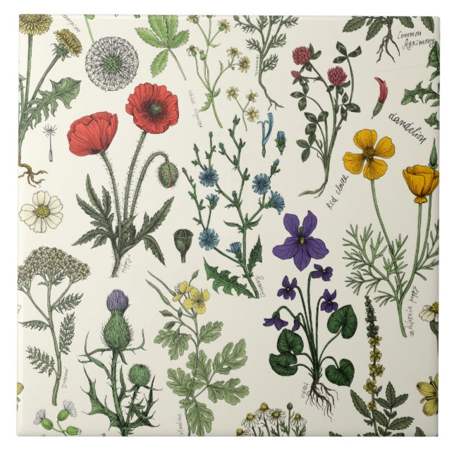 Azulejo De Cerâmica Colagem de flores silvestres (Frente)