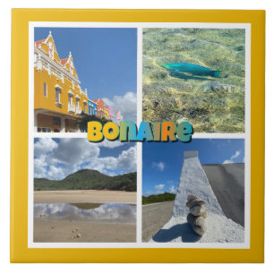 Azulejo De Cerâmica Colagem de Fotos Cênicas Bonaire