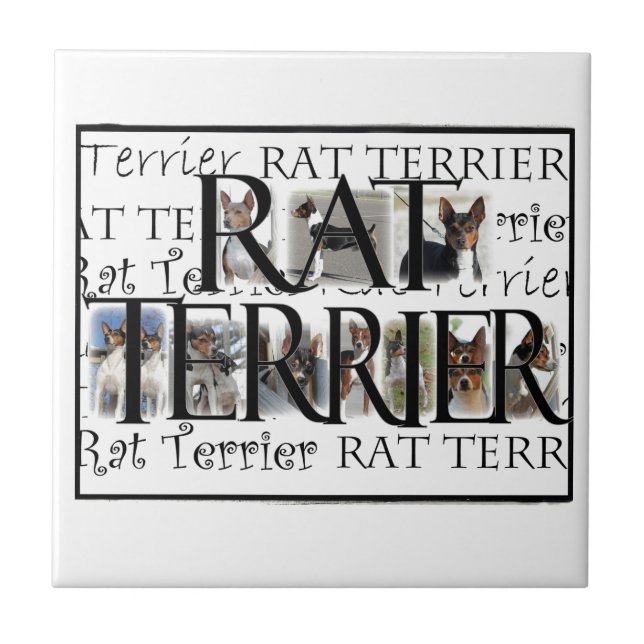 Azulejo De Cerâmica Colagem de Terrier de rato (Frente)