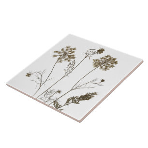 Azulejo De Cerâmica Colar da Rainha Anne num Azulejo cerâmico (branco