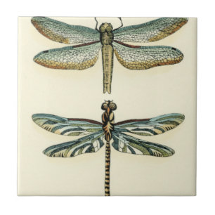 Azulejo De Cerâmica Coleção de Dragonfly por Chariklia Zarris