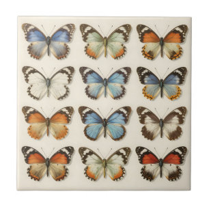 Azulejo De Cerâmica Coleção de Espécimes de Borboletas Antigas