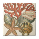 Azulejo De Cerâmica Coleção Sealife<br><div class="desc">Esta impressão de arte exibe imagens nítidas e vívidas com um alto grau de precisão de cores. Pegue sua coleção de sealife hoje neste impressão de vintage. É um belo recife de coral vermelho e uma adorável estrela vai excelente em qualquer produto.</div>