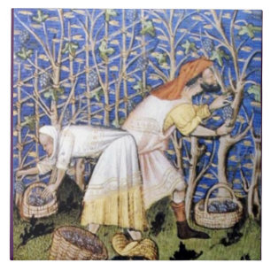 AZULEJO DE CERÂMICA  COLHEITA ANTIGA DO VINHEDO DA UVA