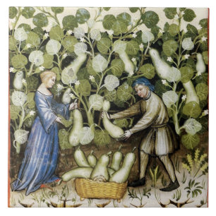 AZULEJO DE CERÂMICA  COLHEITA ANTIQUICA ESQUASH