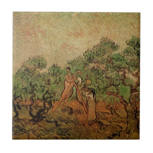 Azulejo De Cerâmica Colheita de Oliveiras por Vincent van Gogh
