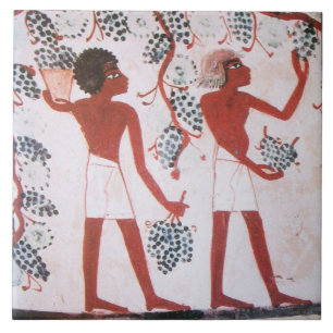 AZULEJO DE CERÂMICA  COLHEITA DE UVAS DE VINHO ANTIGO EGÍPCIA