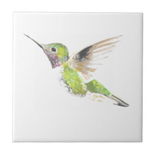 Azulejo De Cerâmica Colibri