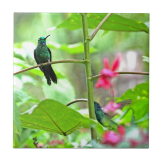 Azulejo De Cerâmica Colibri e flores tropicais