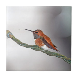 Azulejo De Cerâmica Colibri que cola para fora a língua