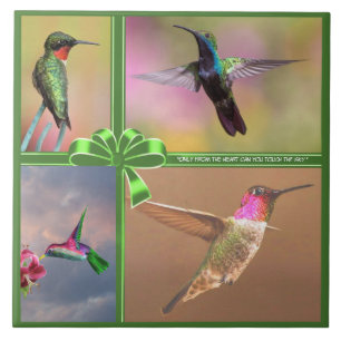 AZULEJO DE CERÂMICA COLLAGEM HUMMINGBIRD, CITAÇÃO