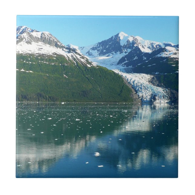 Azulejo De Cerâmica College Fjord I Beauful Alaska Photoographic (Frente)