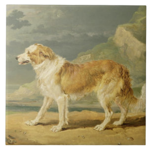 Azulejo De Cerâmica Collie Áspero-revestido, 1809 (óleo a bordo)