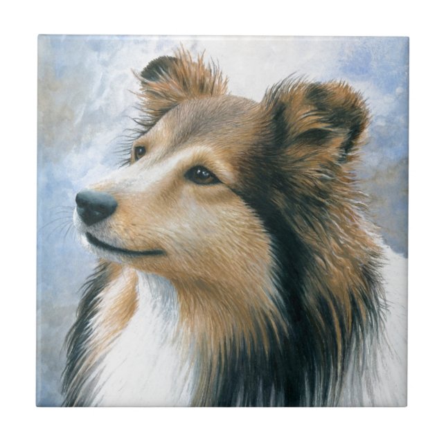 Azulejo De Cerâmica Collie de Sheltie do cão 122 (Frente)