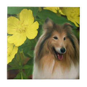 Azulejo De Cerâmica Collie E Flowers Dog Art