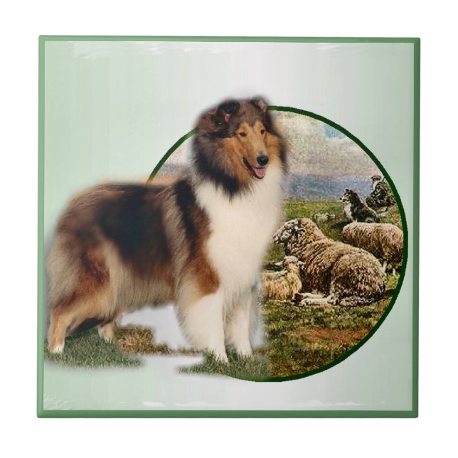 Azulejo De Cerâmica Collie Keeper da Ovelha (Frente)