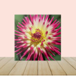 Azulejo De Cerâmica Colorida Rosa Cactus Dahlia Bloom Floral<br><div class="desc">Este azulejo cerâmico apresenta uma foto de uma floração brilhante de flor de Cactus Dahlia,  de cor brilhante,  com pétalas rosadas. Um design floral adorável! Selecione o tamanho do seu azulejo. Faz uma trivet de cozinha excelente!</div>