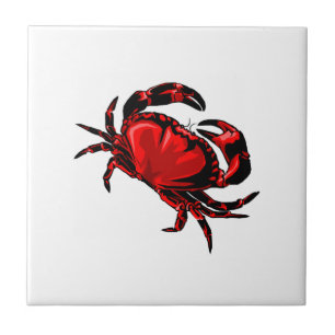 AZULEJO DE CERÂMICA  COM GRANDES GARRAS