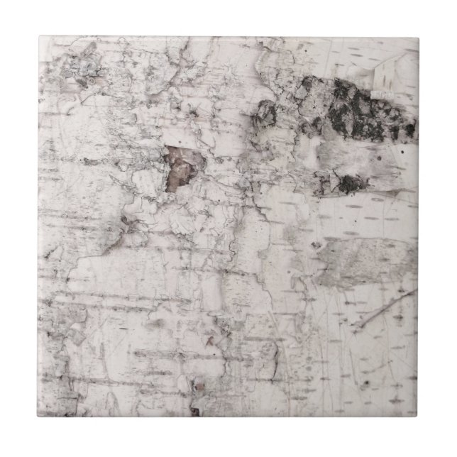 Azulejo de cerâmica com padrão de latido de aves (Frente)