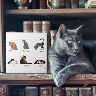 Azulejo De Cerâmica Comandos Cat