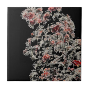 Azulejo De Cerâmica Como Lace