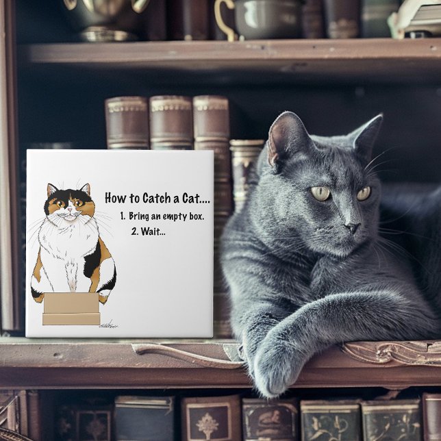 Azulejo De Cerâmica Como pegar um gato (Criador carregado)