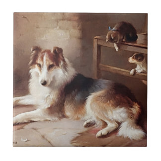 Azulejo De Cerâmica Companheiros de brincadeira - gatinho do cão -