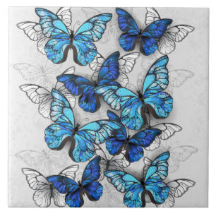 Azulejo De Cerâmica Composição de Borboletas Brancas e Azuis