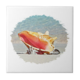 Azulejo De Cerâmica Conch Na Praia