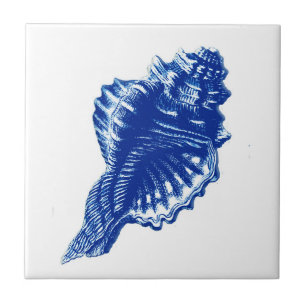 Azulejo De Cerâmica Conch Shell, azul de índigo e branco