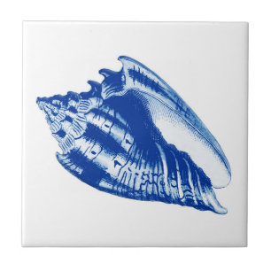 Azulejo De Cerâmica Conch Shell do turbante, azul de índigo e branco