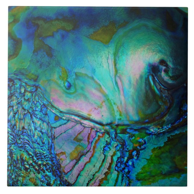 Azulejo De Cerâmica Concha de Abalone Azul (Frente)
