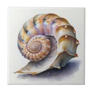 Azulejo De Cerâmica Concha Espiral em Aquarela Pastel