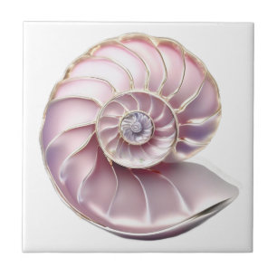 Azulejo De Cerâmica Concha rosa do nautilus 3D praia mar náutico